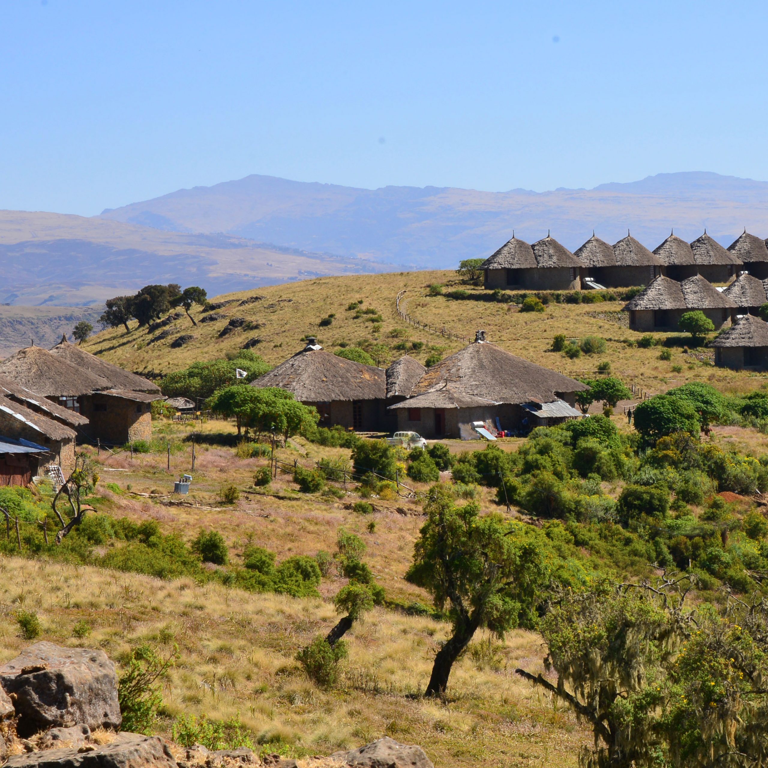 simien lodge