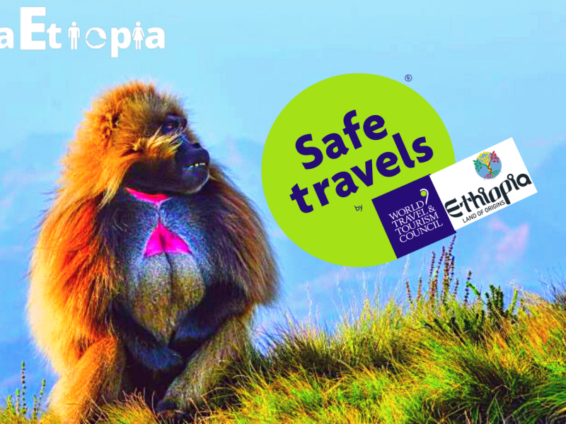 Expertos en viajes a Etiopía, As experts on Ethiopian Tourism, we provide professional and guaranteed travel services all over Ethiopia. Book to Ethiopia with us at tare@guiaetiopia.com